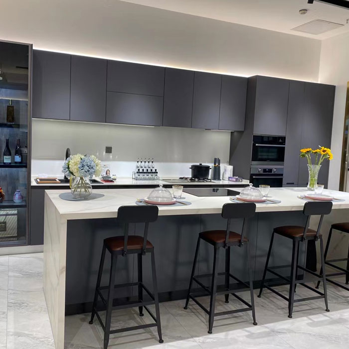 Armários de cozinha de estimação